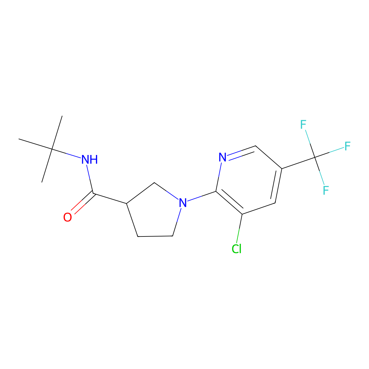 N-tert-butyl-1-[3-chloro-5-(trifluoromethyl)pyridin-2-yl]pyrrolidine-3-carboxamide molecular structure, CAS 2741924-05-8
