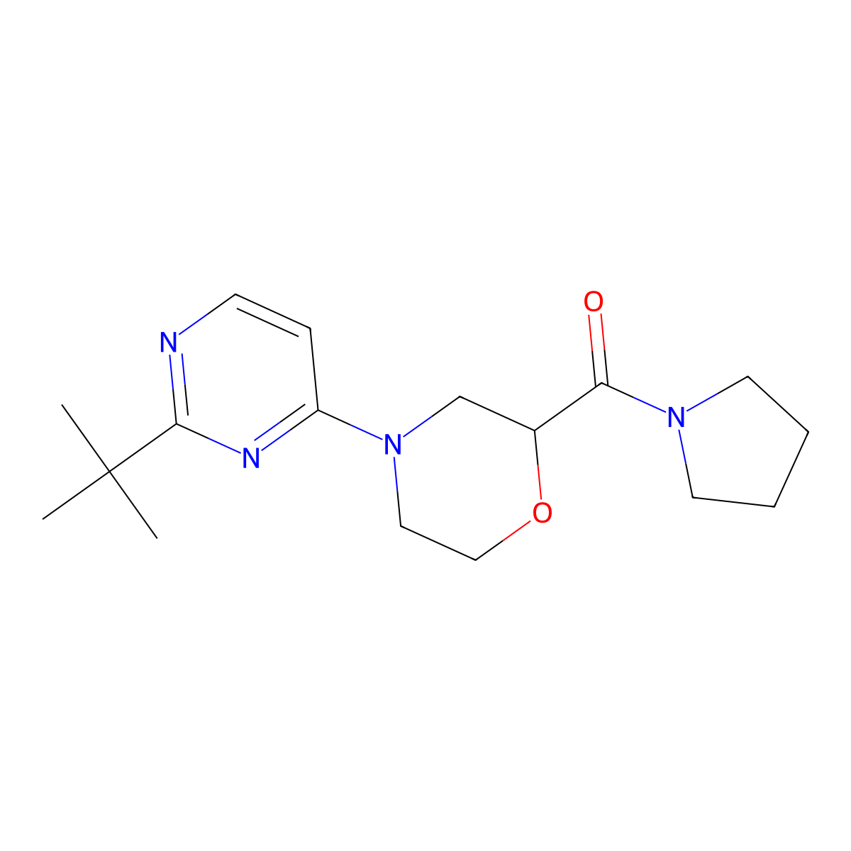 4-(2-Tert-butylpyrimidin-4-yl)-2-(pyrrolidine-1-carbonyl)morpholine molecular structure, CAS 2741924-58-1