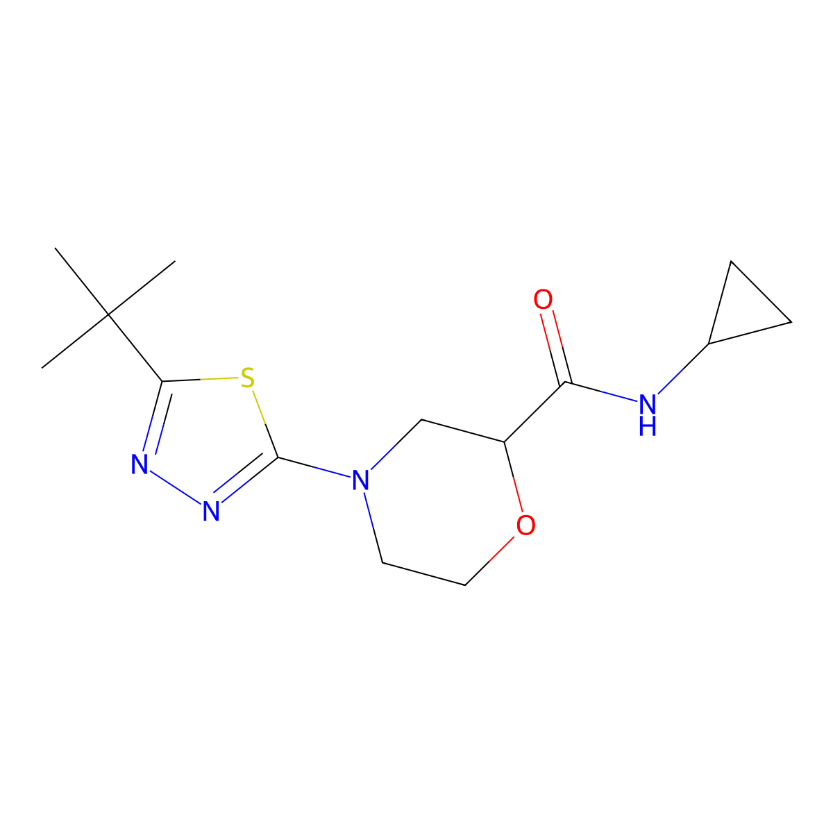 4-(5-tert-butyl-1,3,4-thiadiazol-2-yl)-N-cyclopropylmorpholine-2-carboxamide molecular structure, CAS 2741927-67-1