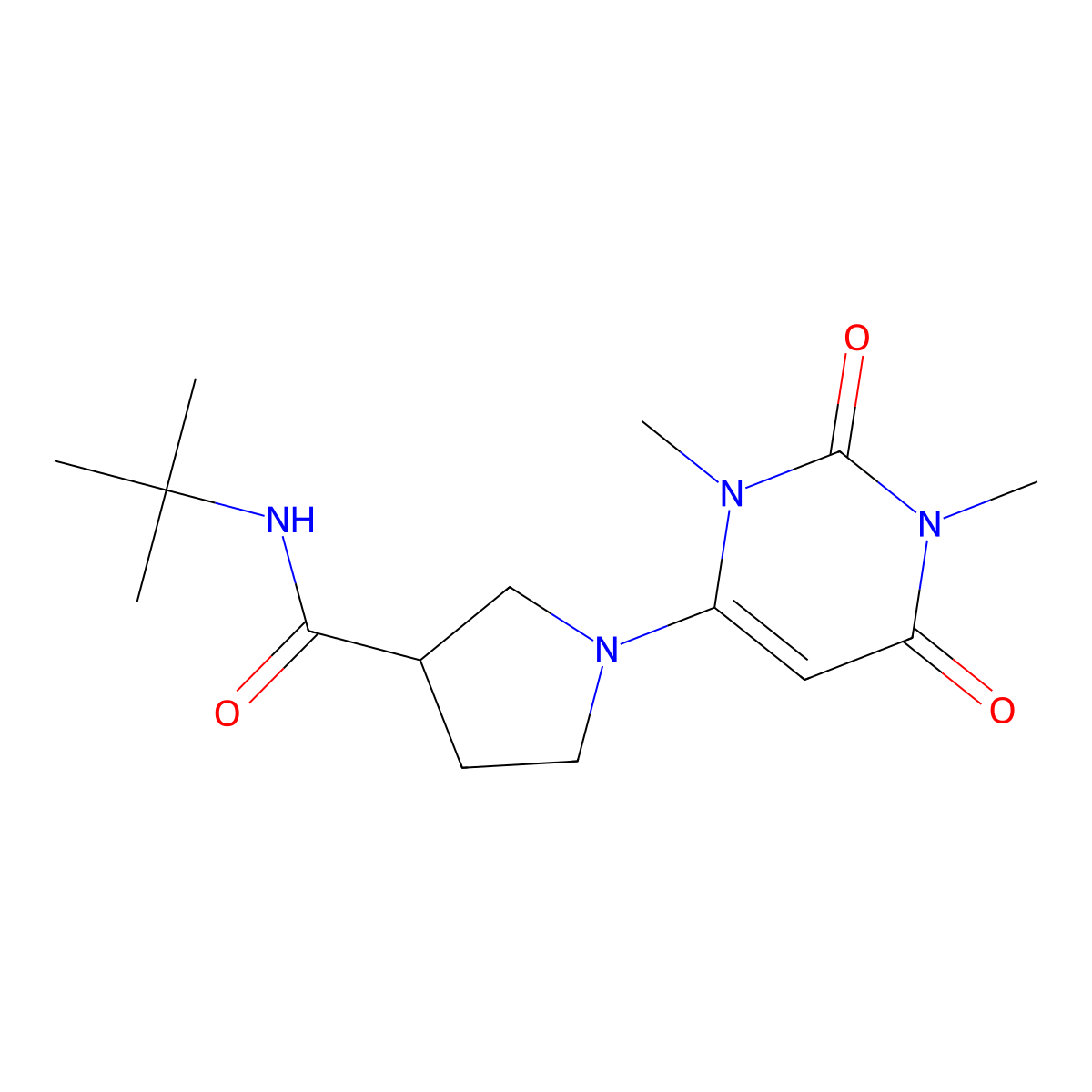 N-tert-butyl-1-(1,3-dimethyl-2,6-dioxo-1,2,3,6-tetrahydropyrimidin-4-yl)pyrrolidine-3-carboxamide molecular structure, CAS 2741934-22-3