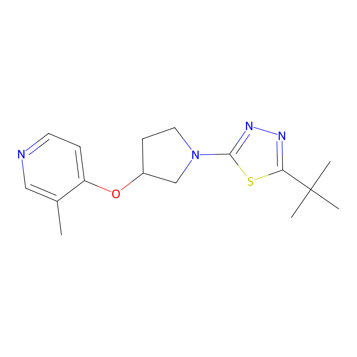 4-{[1-(5-Tert-butyl-1,3,4-thiadiazol-2-yl)pyrrolidin-3-yl]oxy}-3-methylpyridine molecular structure, CAS 2741935-81-7