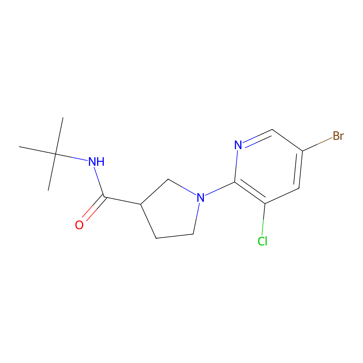 1-(5-bromo-3-chloropyridin-2-yl)-N-tert-butylpyrrolidine-3-carboxamide molecular structure, CAS 2741945-28-6