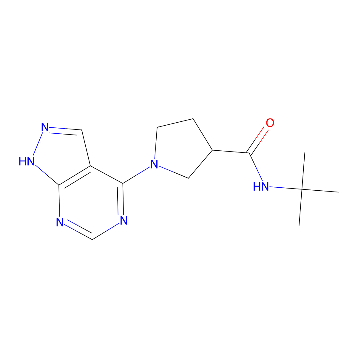 N-tert-butyl-1-{1H-pyrazolo[3,4-d]pyrimidin-4-yl}pyrrolidine-3-carboxamide molecular structure, CAS 2741955-69-9