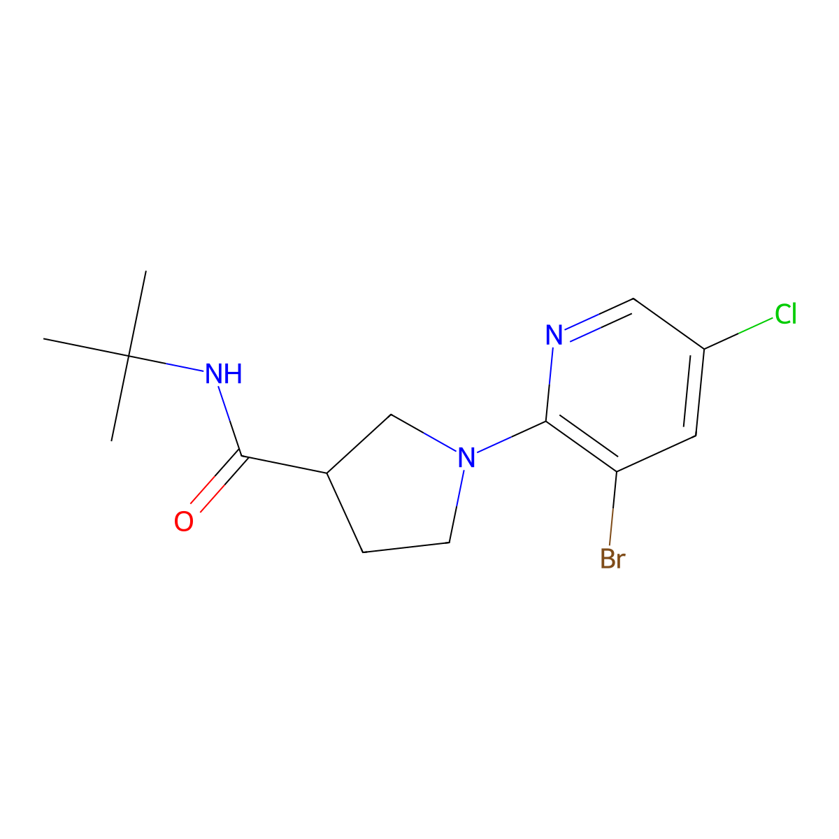 1-(3-bromo-5-chloropyridin-2-yl)-N-tert-butylpyrrolidine-3-carboxamide molecular structure, CAS 2741958-13-2