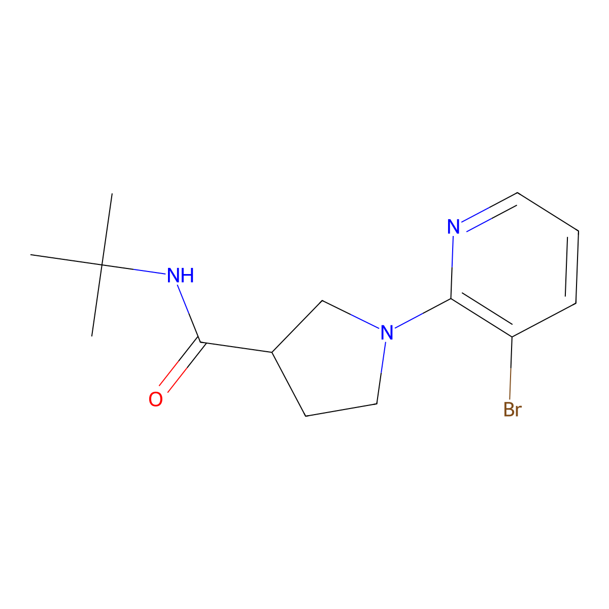 1-(3-bromopyridin-2-yl)-N-tert-butylpyrrolidine-3-carboxamide molecular structure, CAS 2742016-21-1
