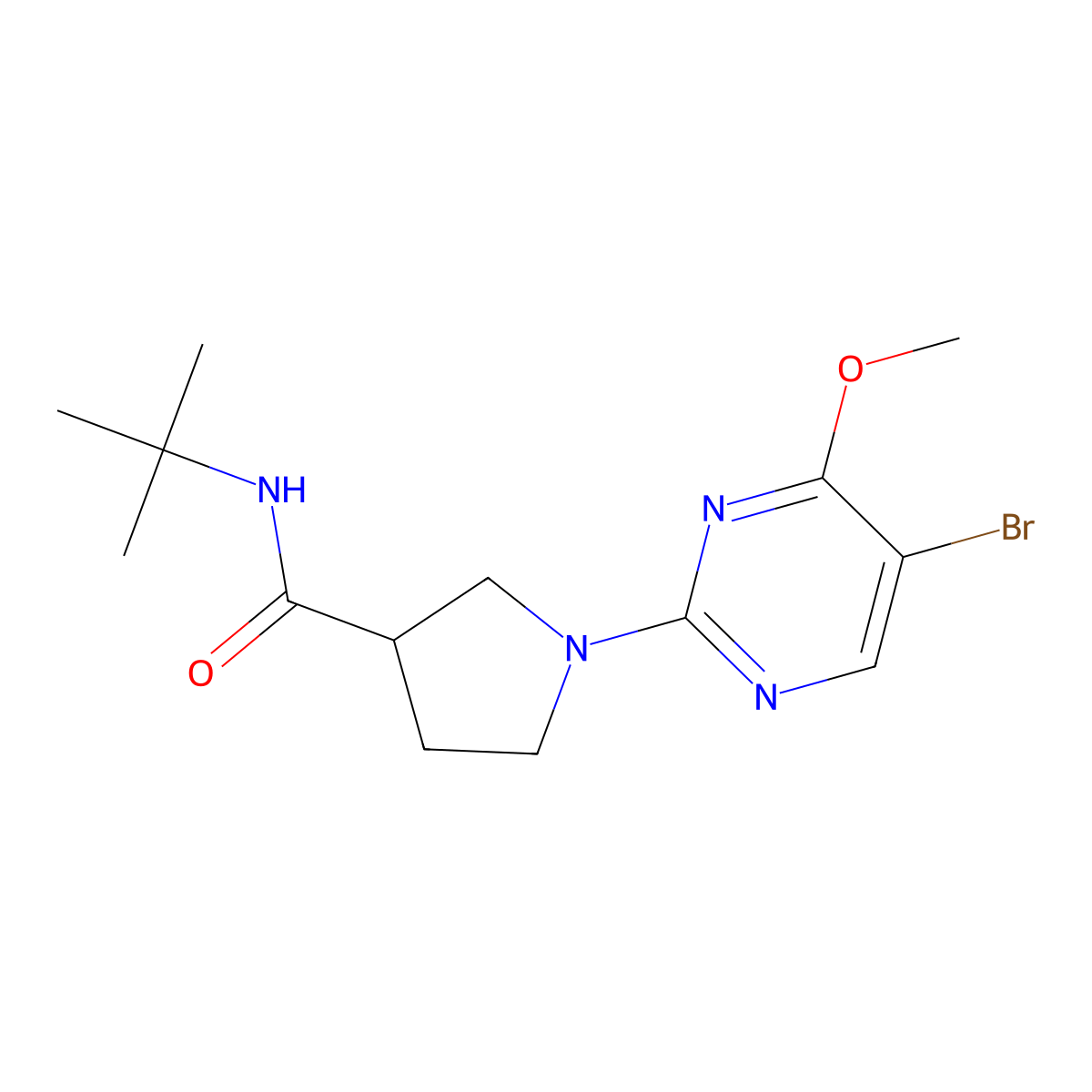 1-(5-bromo-4-methoxypyrimidin-2-yl)-N-tert-butylpyrrolidine-3-carboxamide molecular structure, CAS 2742025-96-1