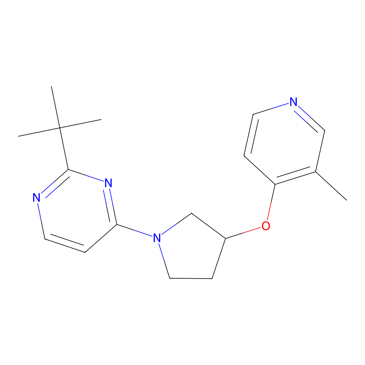 2-Tert-butyl-4-{3-[(3-methylpyridin-4-yl)oxy]pyrrolidin-1-yl}pyrimidine molecular structure, CAS 2742027-41-2