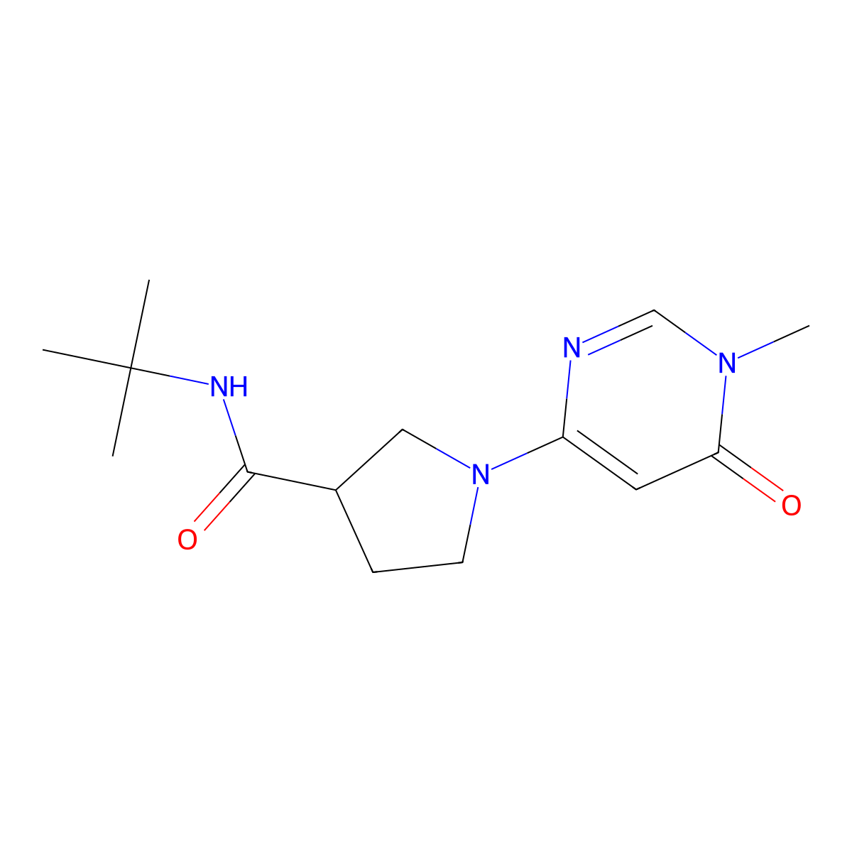 N-tert-butyl-1-(1-methyl-6-oxo-1,6-dihydropyrimidin-4-yl)pyrrolidine-3-carboxamide molecular structure, CAS 2742027-46-7