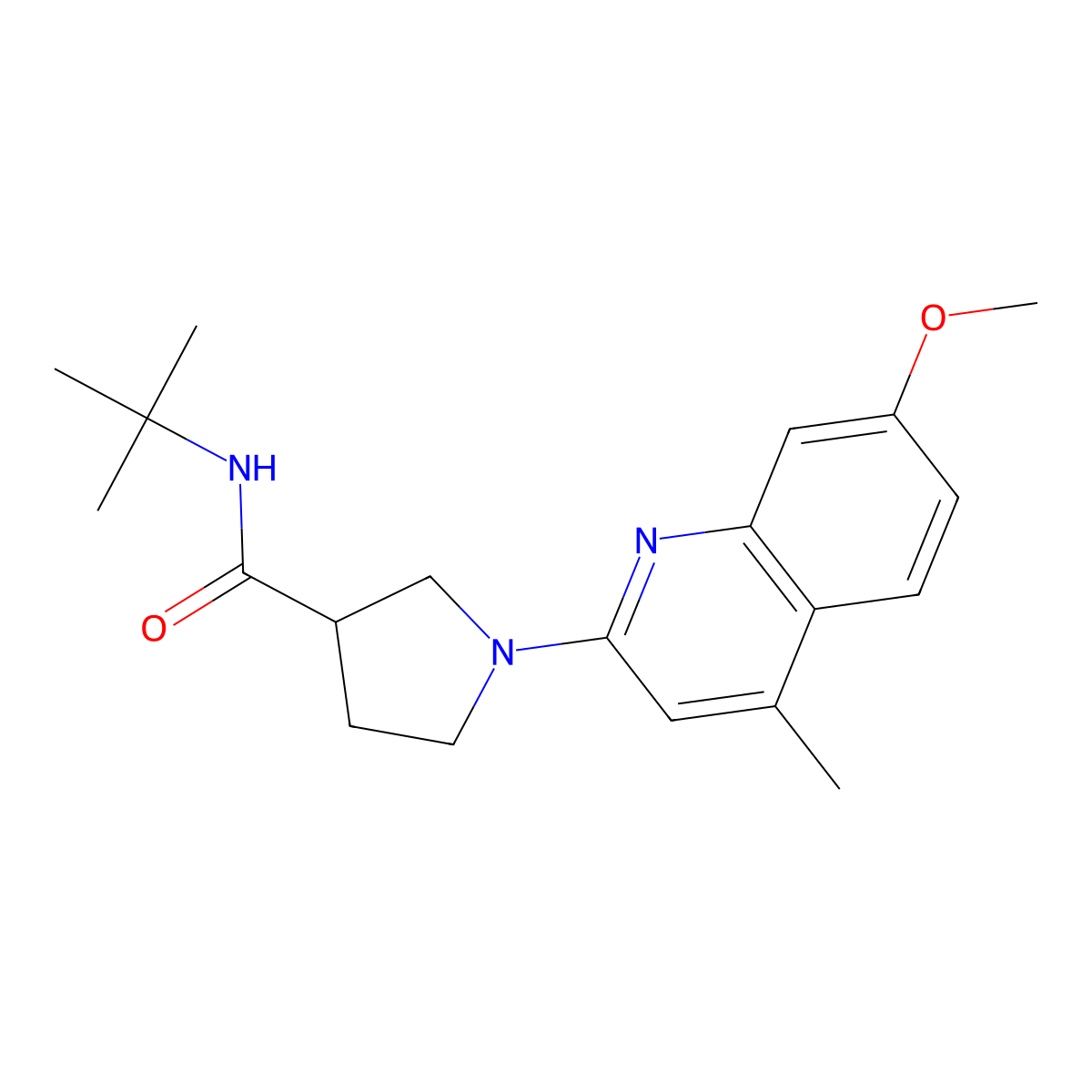 N-tert-butyl-1-(7-methoxy-4-methylquinolin-2-yl)pyrrolidine-3-carboxamide molecular structure, CAS 2742048-54-8