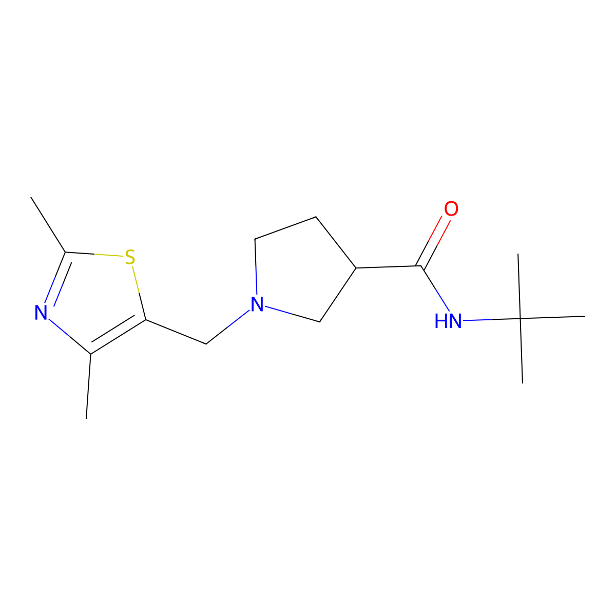 N-tert-butyl-1-[(2,4-dimethyl-1,3-thiazol-5-yl)methyl]pyrrolidine-3-carboxamide molecular structure, CAS 2742067-21-4