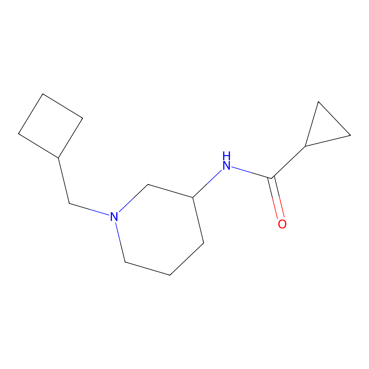 N-[1-(cyclobutylmethyl)piperidin-3-yl]cyclopropanecarboxamide molecular structure, CAS 2742067-94-1
