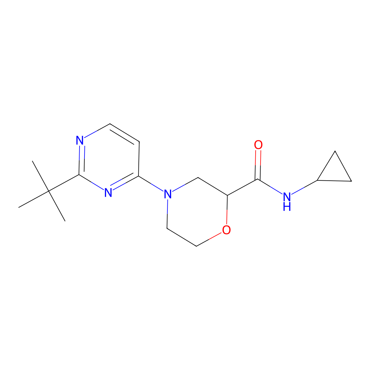 4-(2-tert-butylpyrimidin-4-yl)-N-cyclopropylmorpholine-2-carboxamide molecular structure, CAS 2742069-04-9
