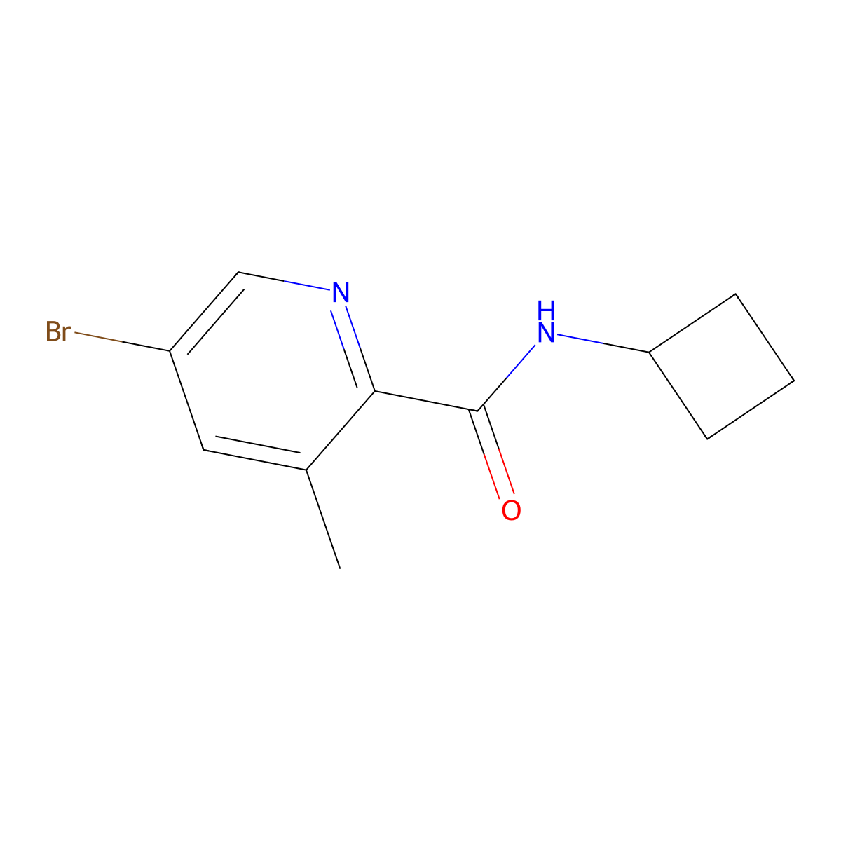 5-Bromo-N-cyclobutyl-3-methylpicolinamide molecular structure, CAS 2742989-88-2