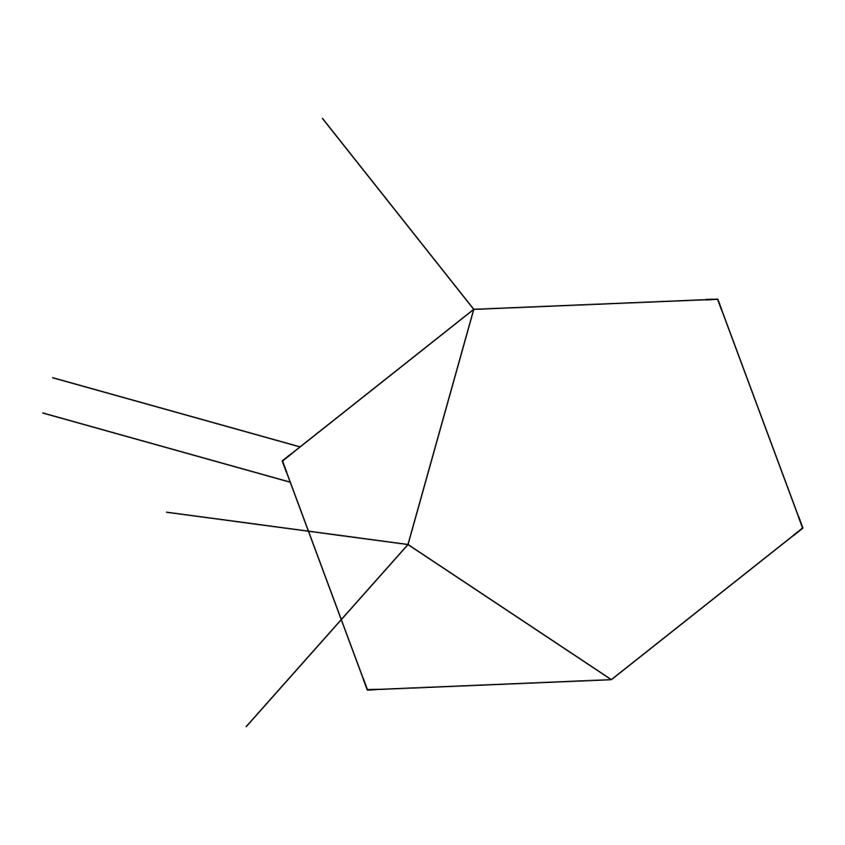 1,7,7-Trimethyl-2-methylidenebicyclo[2.2.1]heptane molecular structure, CAS 27538-47-2