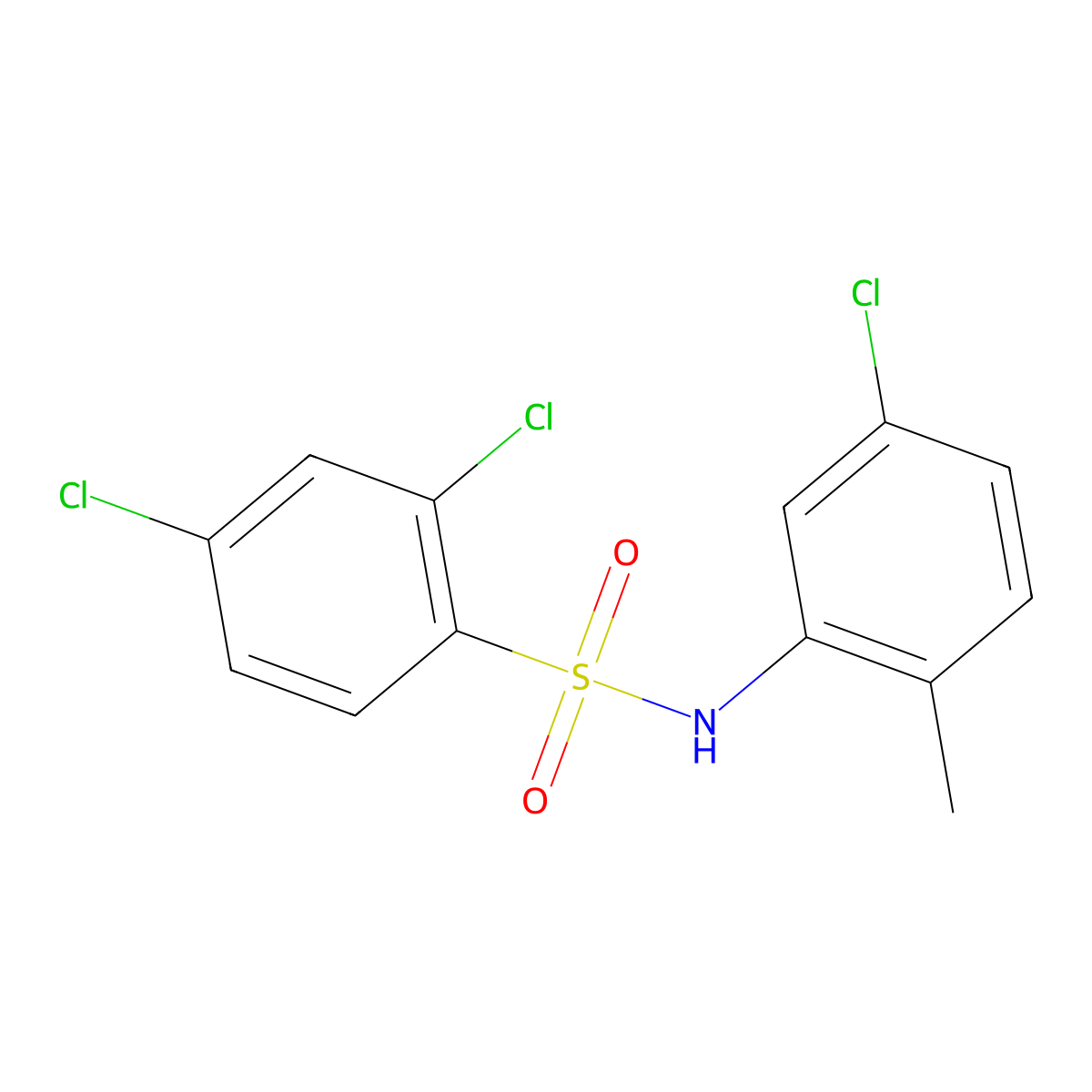 2,4-dichloro-N-(5-chloro-2-methylphenyl)benzene-1-sulfonamide molecular structure, CAS 2759601-00-6