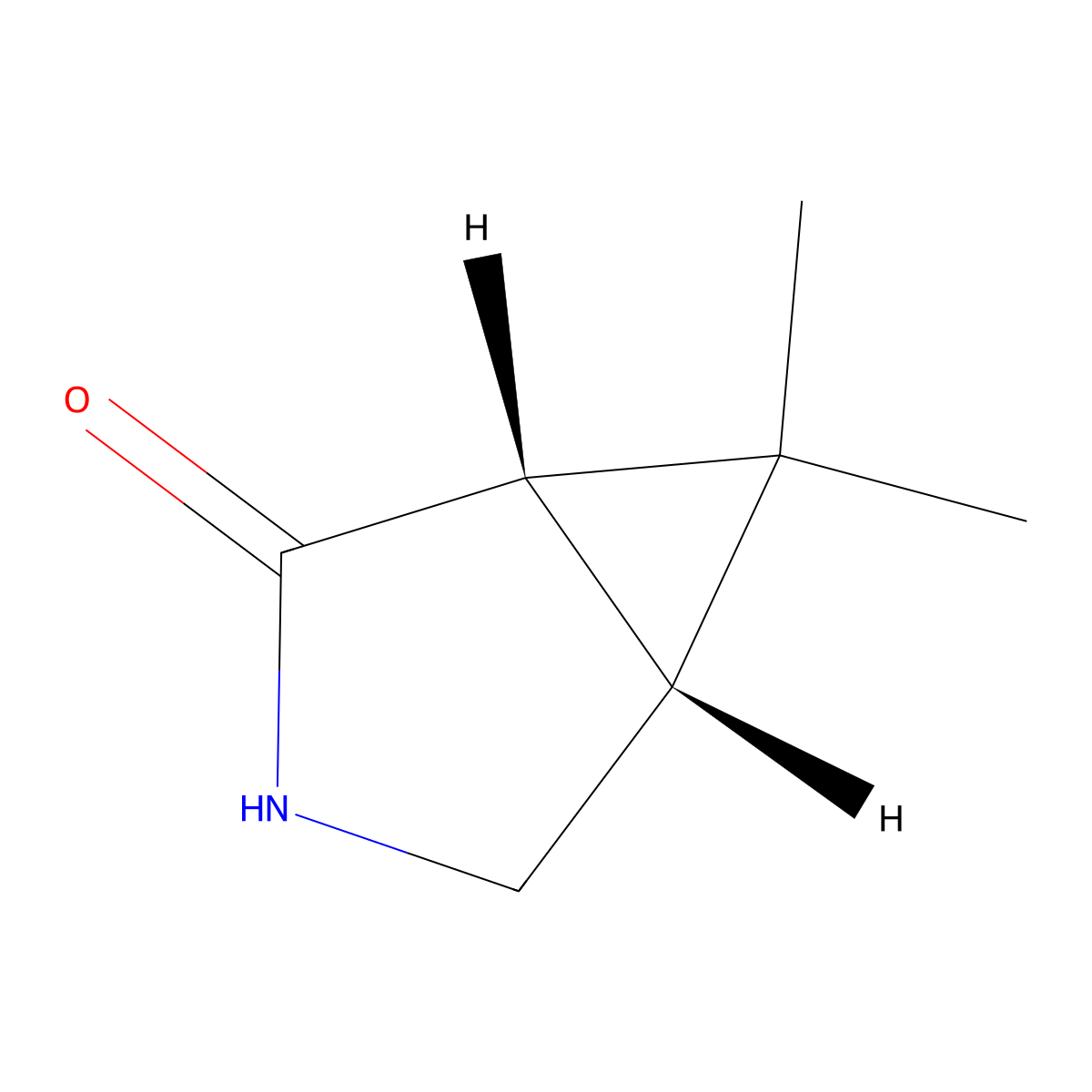 rac-(1R,5S)-6,6-dimethyl-3-azabicyclo[3.1.0]hexan-2-one molecular structure, CAS 2762063-88-5
