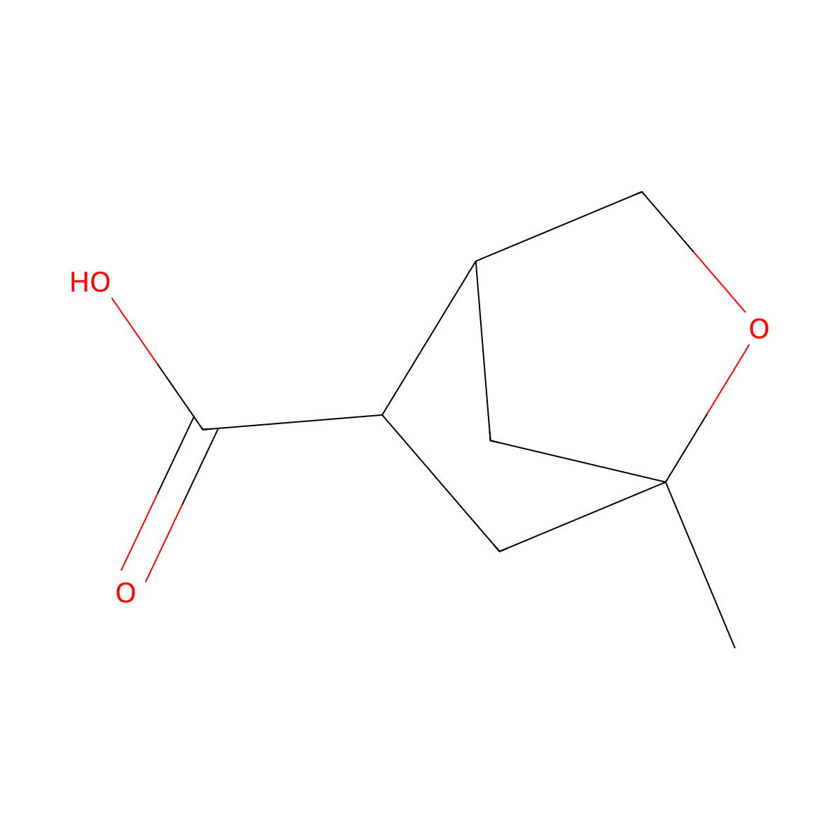 1-Methyl-2-oxabicyclo[2.2.1]heptane-5-carboxylic acid molecular structure, CAS 2770557-30-5