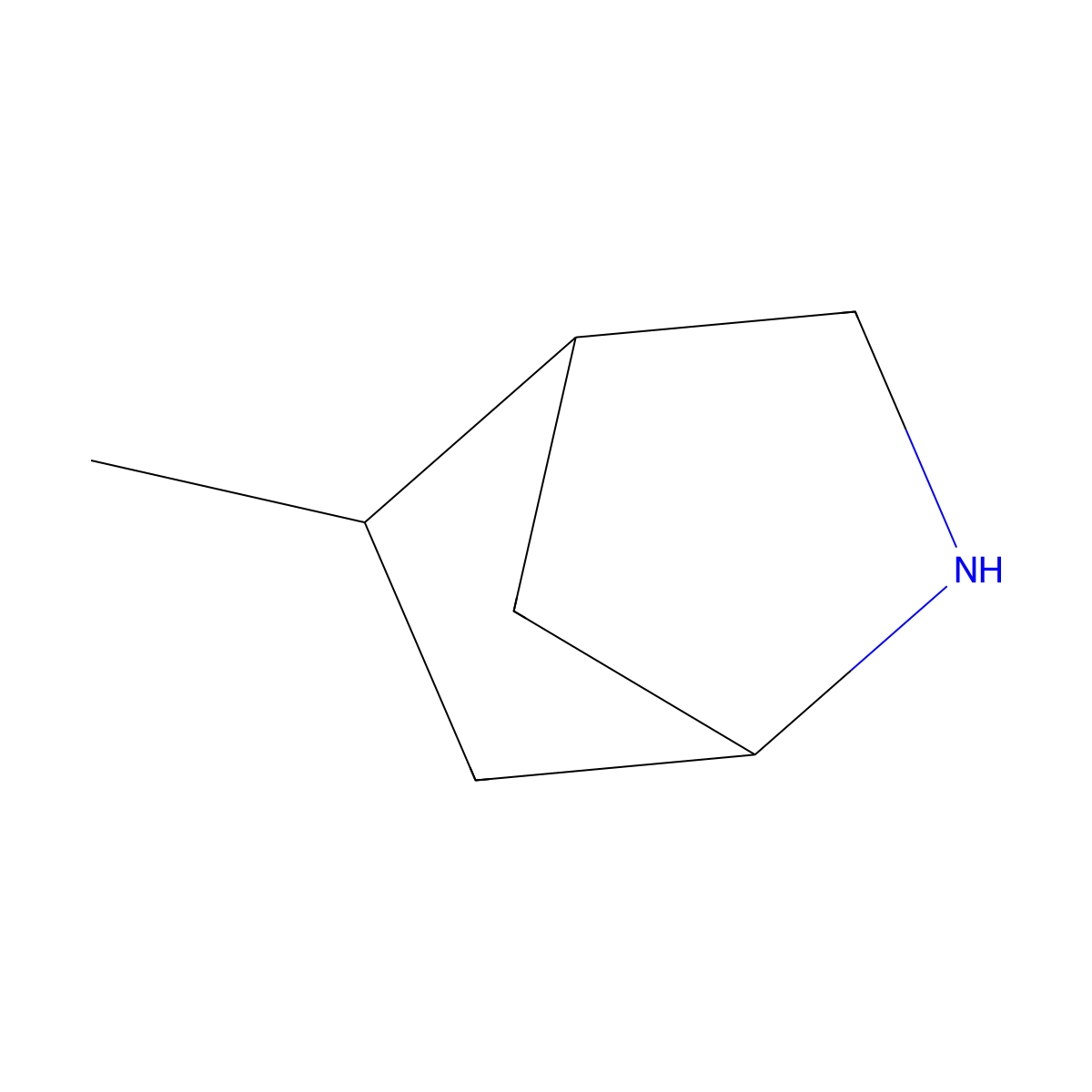 5-Methyl-2-azabicyclo[2.2.1]heptane molecular structure, CAS 2770557-84-9