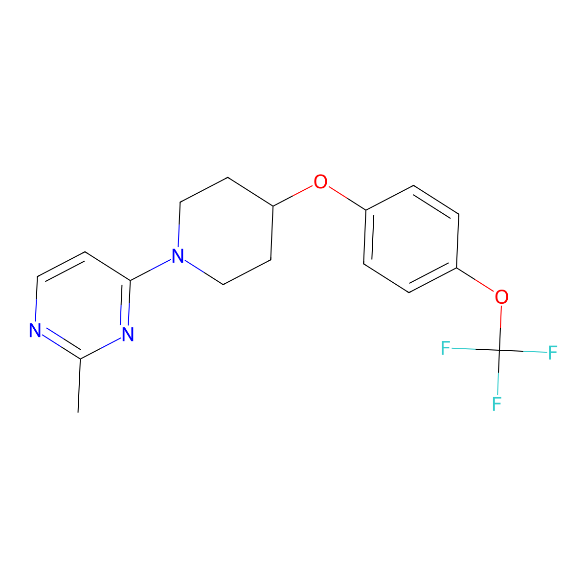 2-Methyl-4-{4-[4-(trifluoromethoxy)phenoxy]piperidin-1-yl}pyrimidine molecular structure, CAS 2770589-50-7