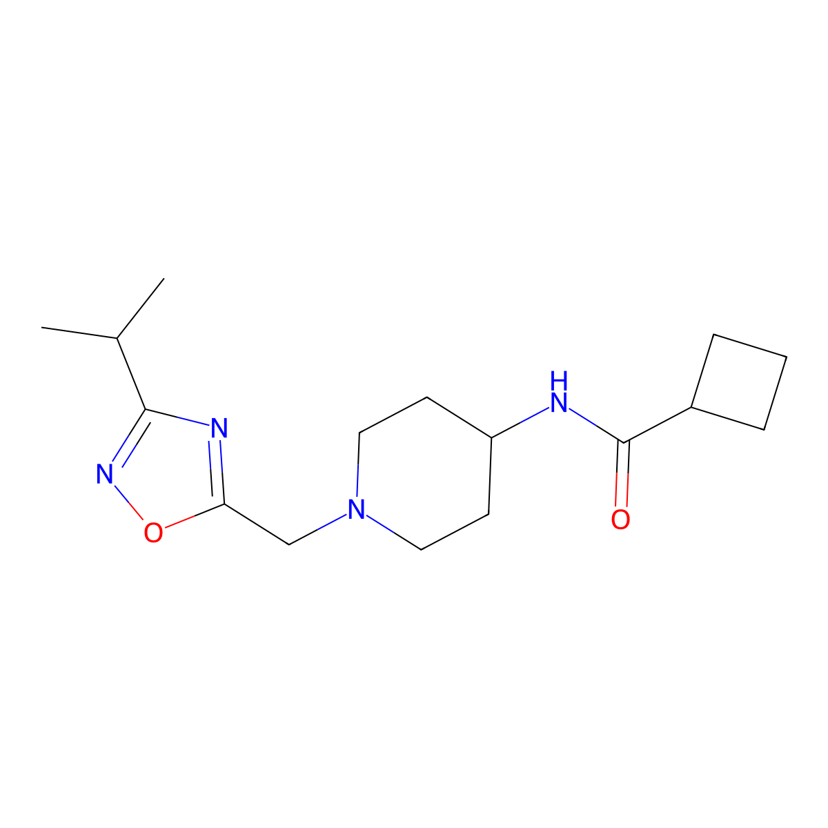 N-(1-{[3-(propan-2-yl)-1,2,4-oxadiazol-5-yl]methyl}piperidin-4-yl)cyclobutanecarboxamide molecular structure, CAS 2770605-89-3