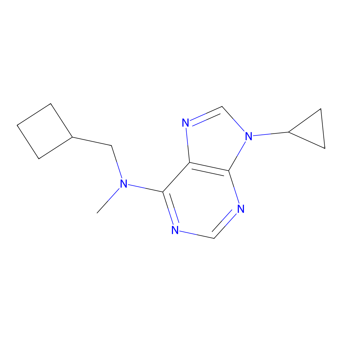 N-(cyclobutylmethyl)-9-cyclopropyl-N-methyl-9H-purin-6-amine molecular structure, CAS 2770609-74-8