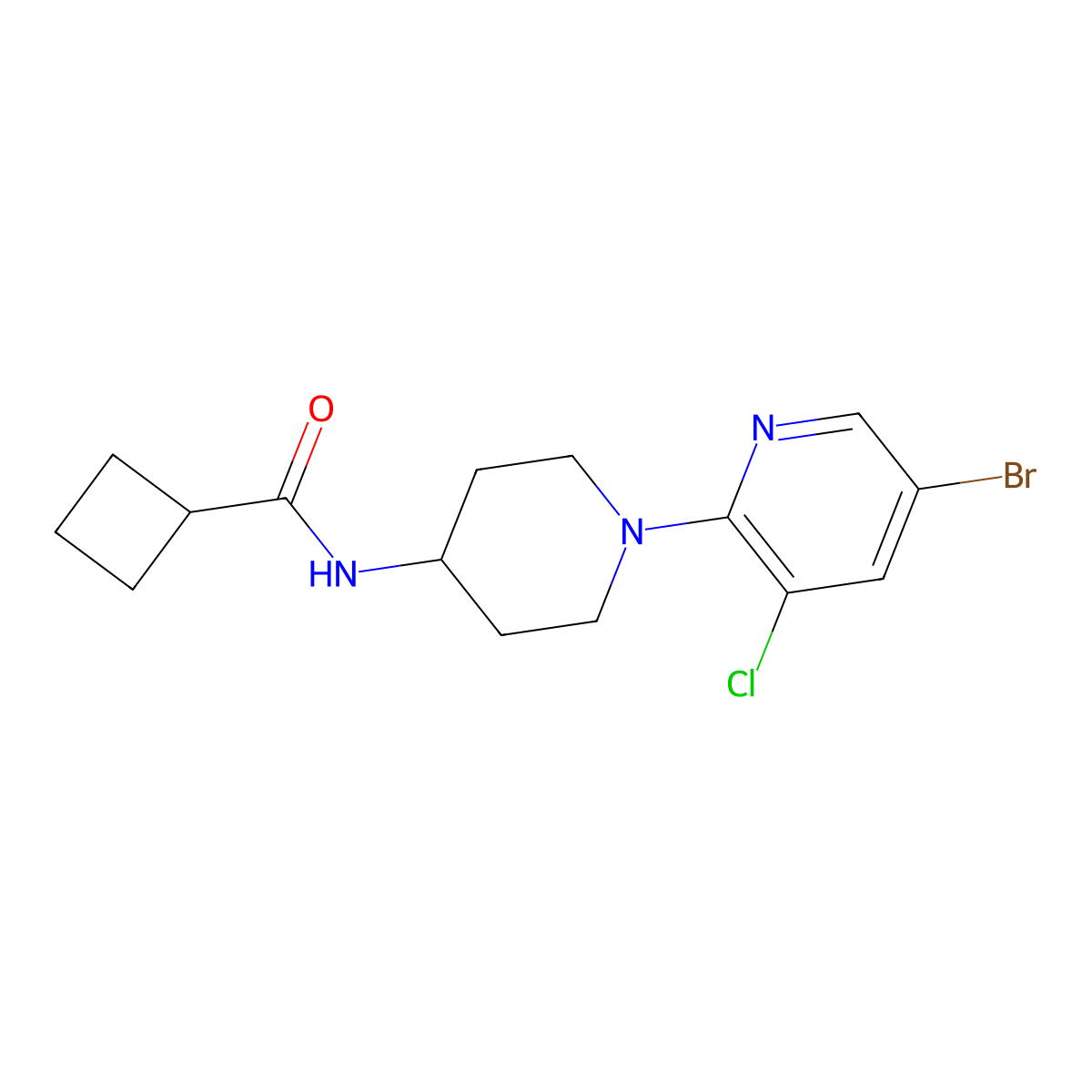 N-[1-(5-bromo-3-chloropyridin-2-yl)piperidin-4-yl]cyclobutanecarboxamide molecular structure, CAS 2770614-18-9
