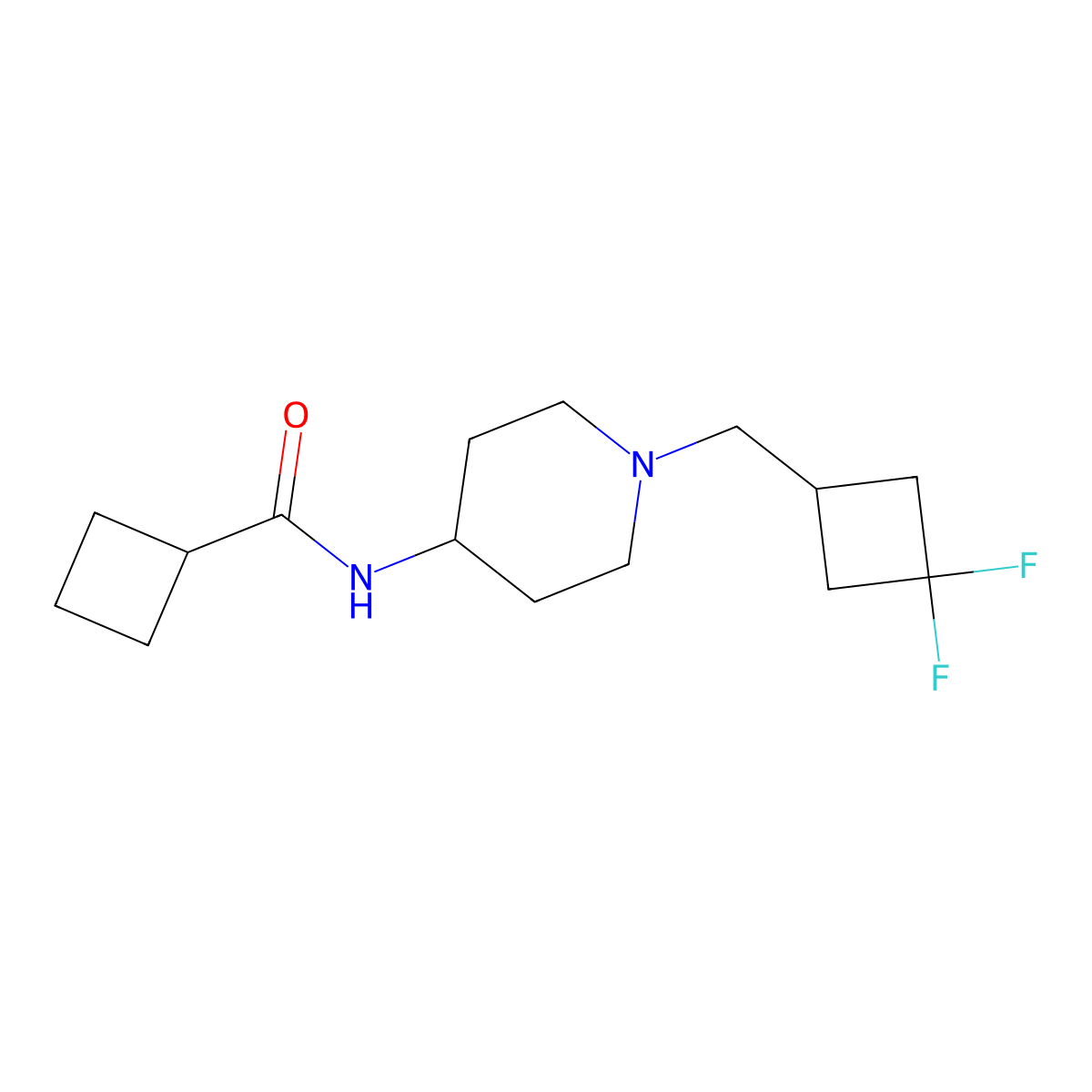 N-{1-[(3,3-difluorocyclobutyl)methyl]piperidin-4-yl}cyclobutanecarboxamide molecular structure, CAS 2770627-03-5