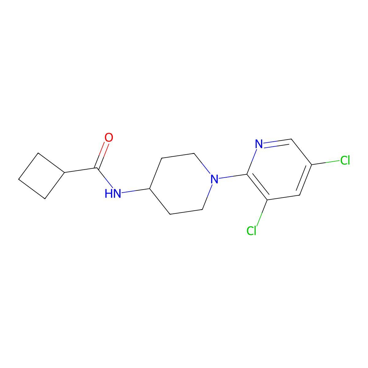 N-[1-(3,5-dichloropyridin-2-yl)piperidin-4-yl]cyclobutanecarboxamide molecular structure, CAS 2770636-16-1