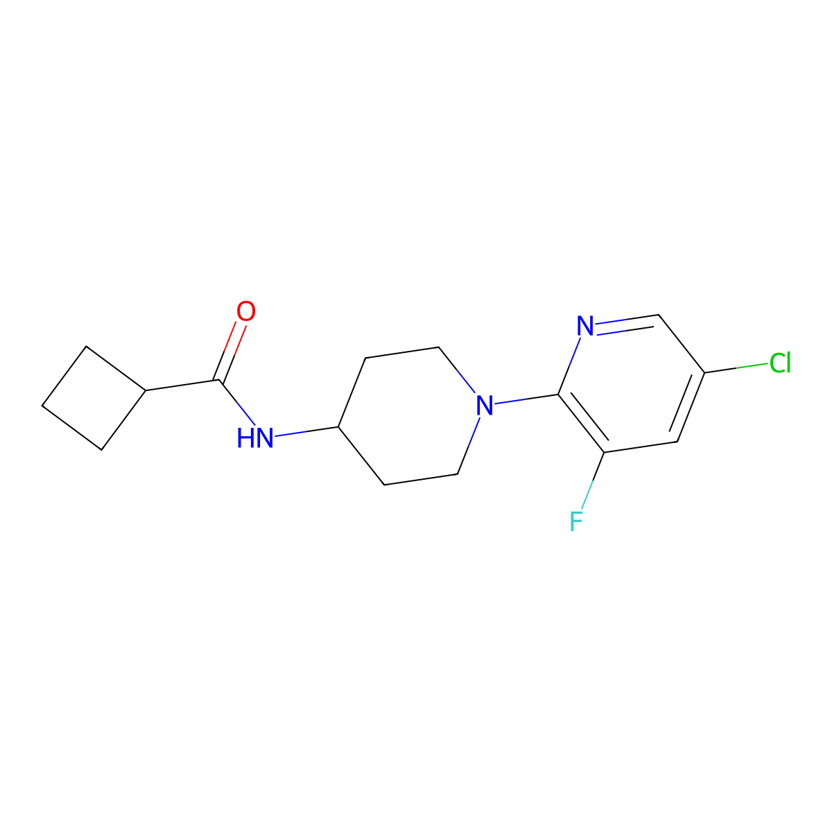 N-[1-(5-chloro-3-fluoropyridin-2-yl)piperidin-4-yl]cyclobutanecarboxamide molecular structure, CAS 2770637-25-5
