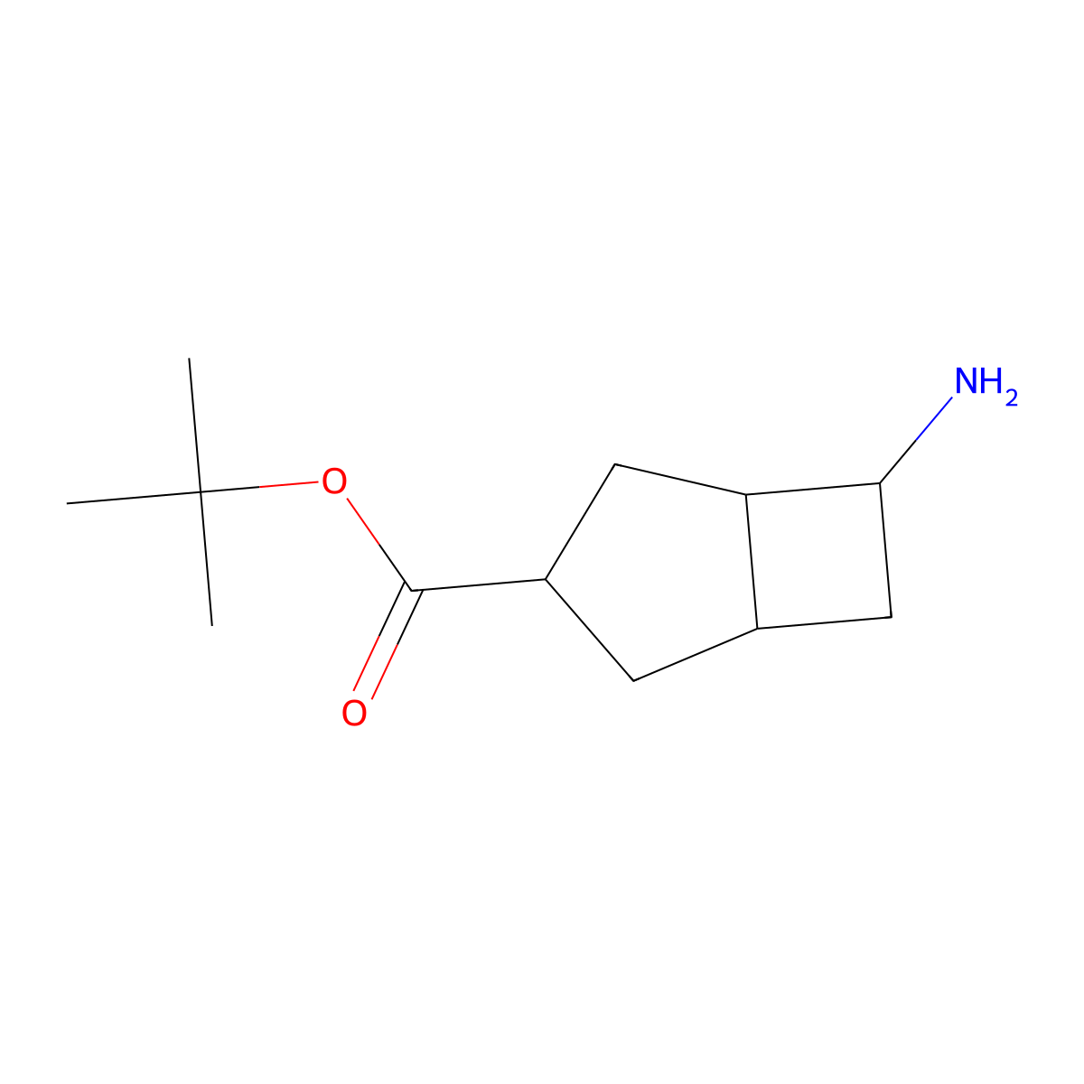 rac-tert-butyl (1R,3S,5R,6S)-6-aminobicyclo[3.2.0]heptane-3-carboxylate molecular structure, CAS 2803415-29-2