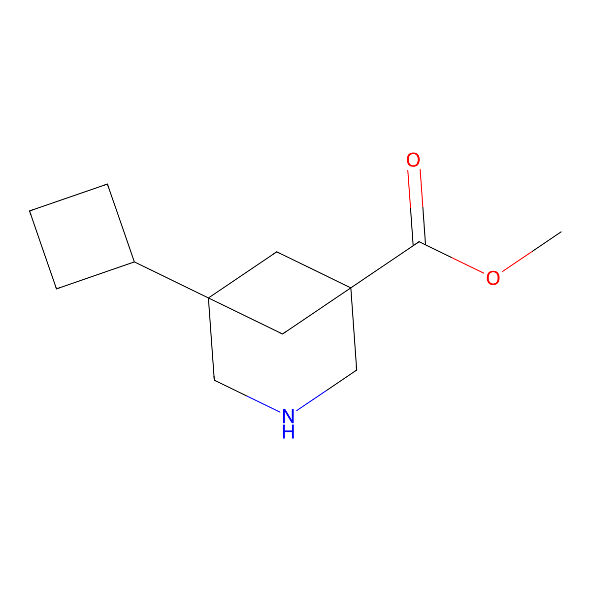 Methyl 5-cyclobutyl-3-azabicyclo[3.1.1]heptane-1-carboxylate molecular structure, CAS 2803828-50-2
