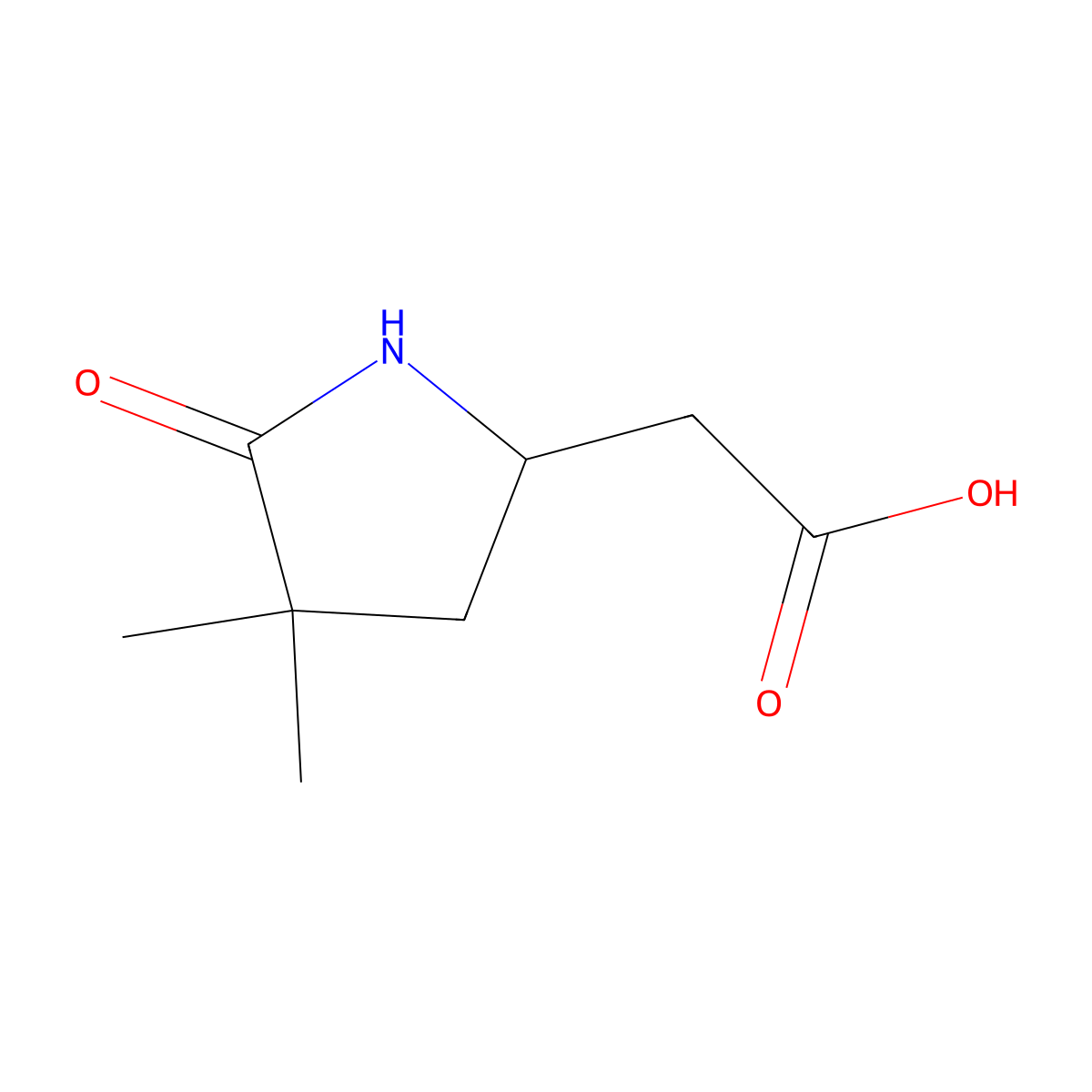 2-(4,4-Dimethyl-5-oxopyrrolidin-2-yl)acetic acid molecular structure, CAS 2803829-25-4