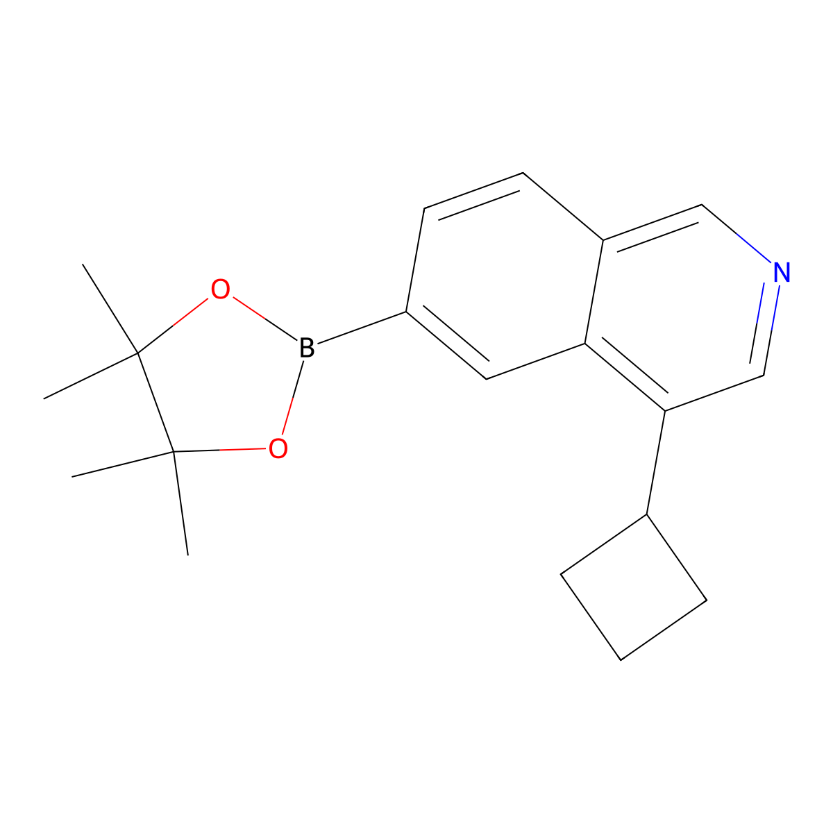 4-Cyclobutyl-6-(4,4,5,5-tetramethyl-1,3,2-dioxaborolan-2-yl)isoquinoline molecular structure, CAS 2819706-29-9