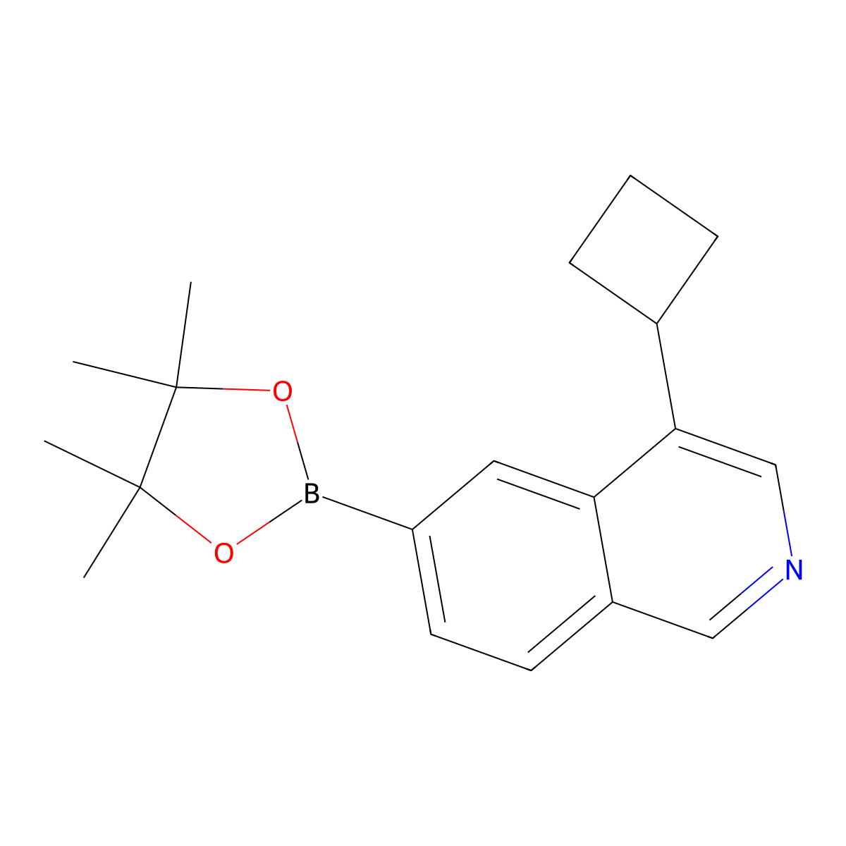 4-Cyclobutyl-6-(4,4,5,5-tetramethyl-1,3,2-dioxaborolan-2-yl)isoquinoline molecular structure, CAS 2819706-29-9