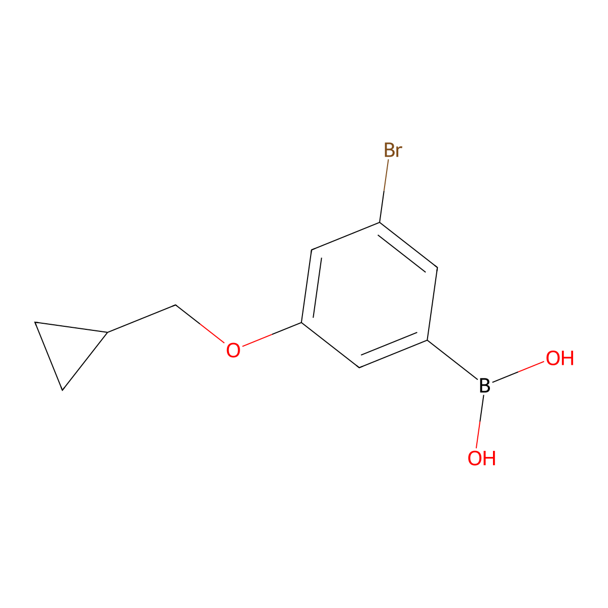 (3-Bromo-5-(cyclopropylmethoxy)phenyl)boronic acid molecular structure, CAS 2828439-70-7