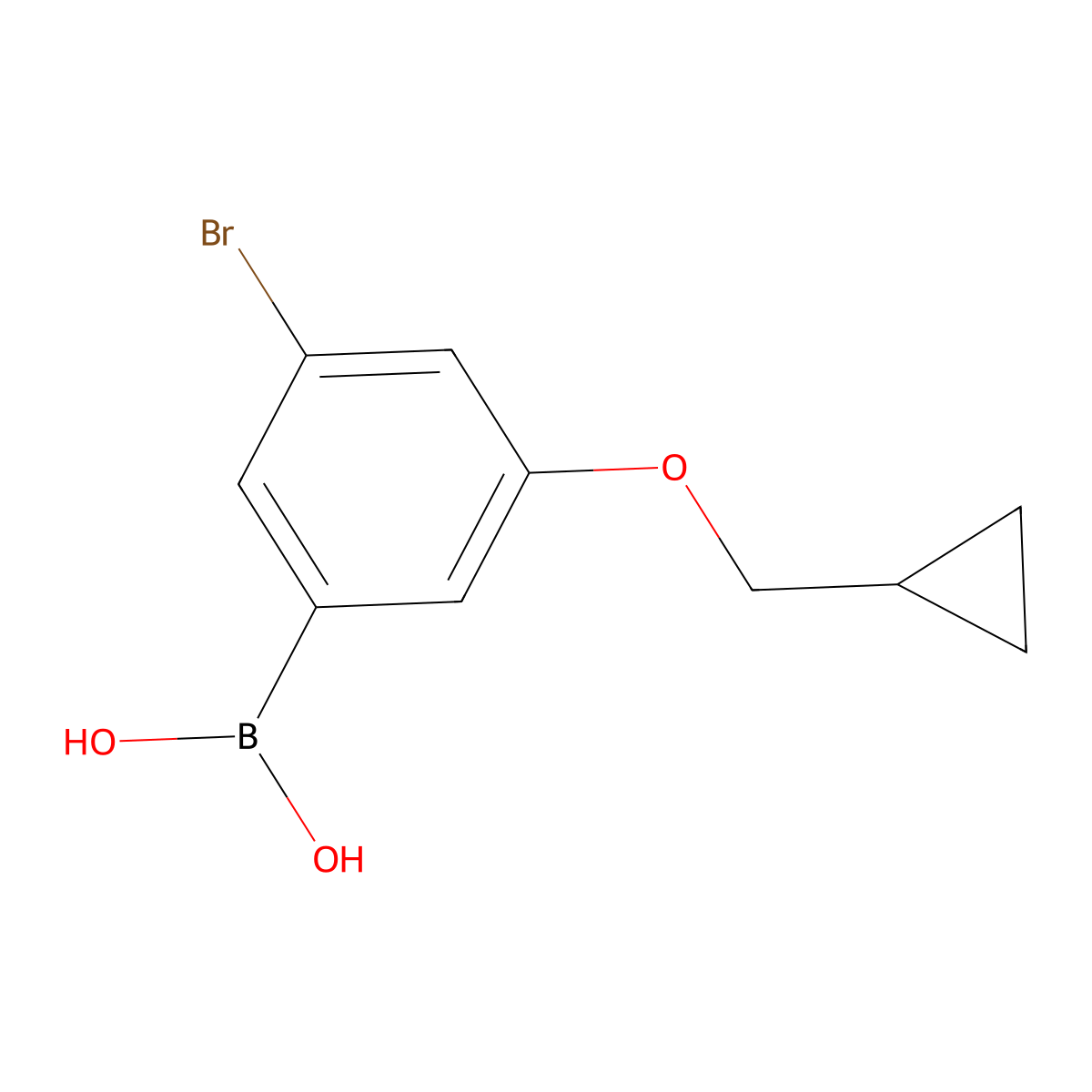 (3-Bromo-5-(cyclopropylmethoxy)phenyl)boronic acid molecular structure, CAS 2828439-70-7