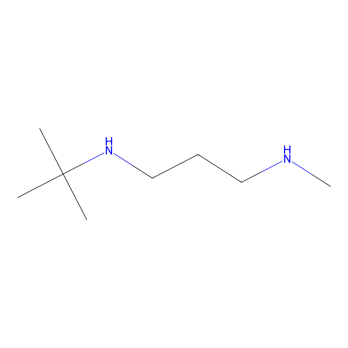 N1-(tert-Butyl)-N3-methyl-1,3-propanediamine molecular structure, CAS 28286-18-2