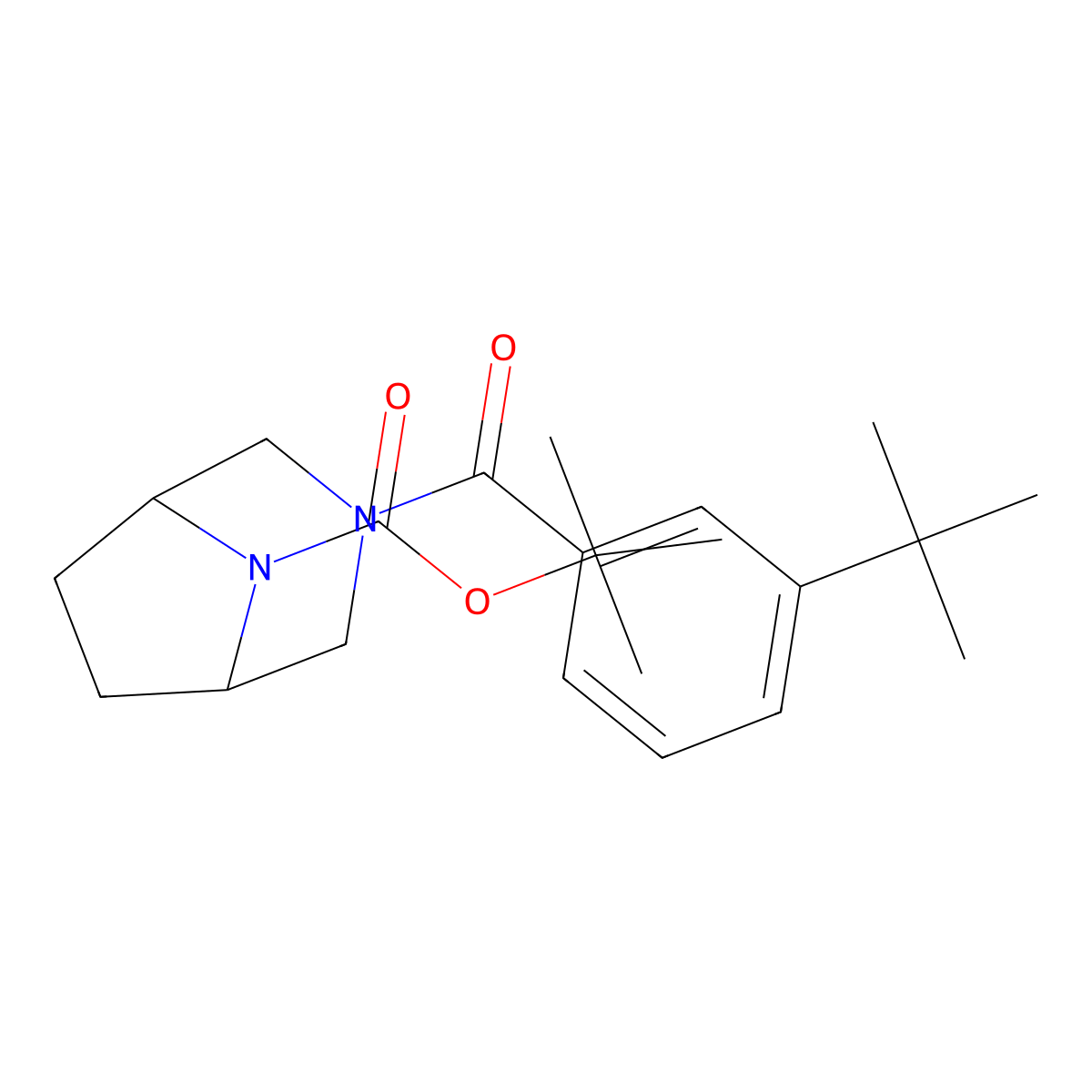 1,1-Dimethylethyl 3-[3-(1,1-dimethylethyl)benzoyl]-3,8-diazabicyclo[3.2.1]octane-8-carboxylate molecular structure, CAS 2852993-83-8