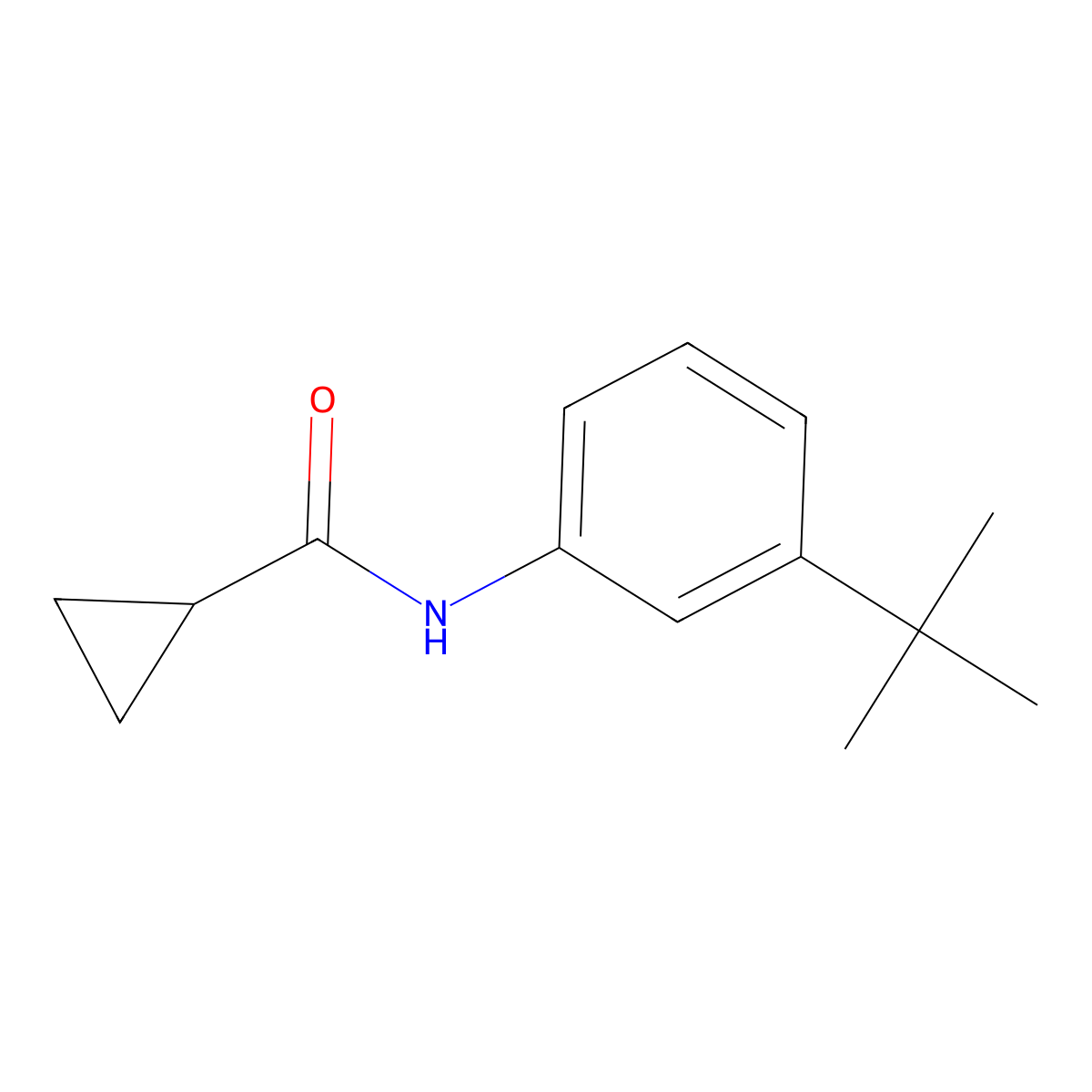 N-[3-(1,1-Dimethylethyl)phenyl]cyclopropanecarboxamide molecular structure, CAS 2856082-50-1
