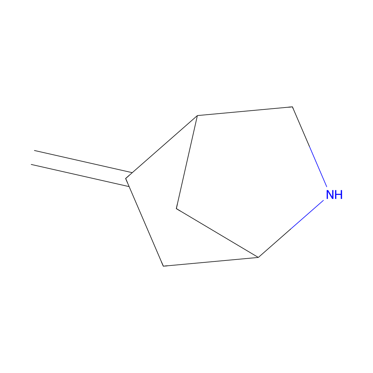 5-Methylidene-2-azabicyclo[2.2.1]heptane molecular structure, CAS 2866353-35-5