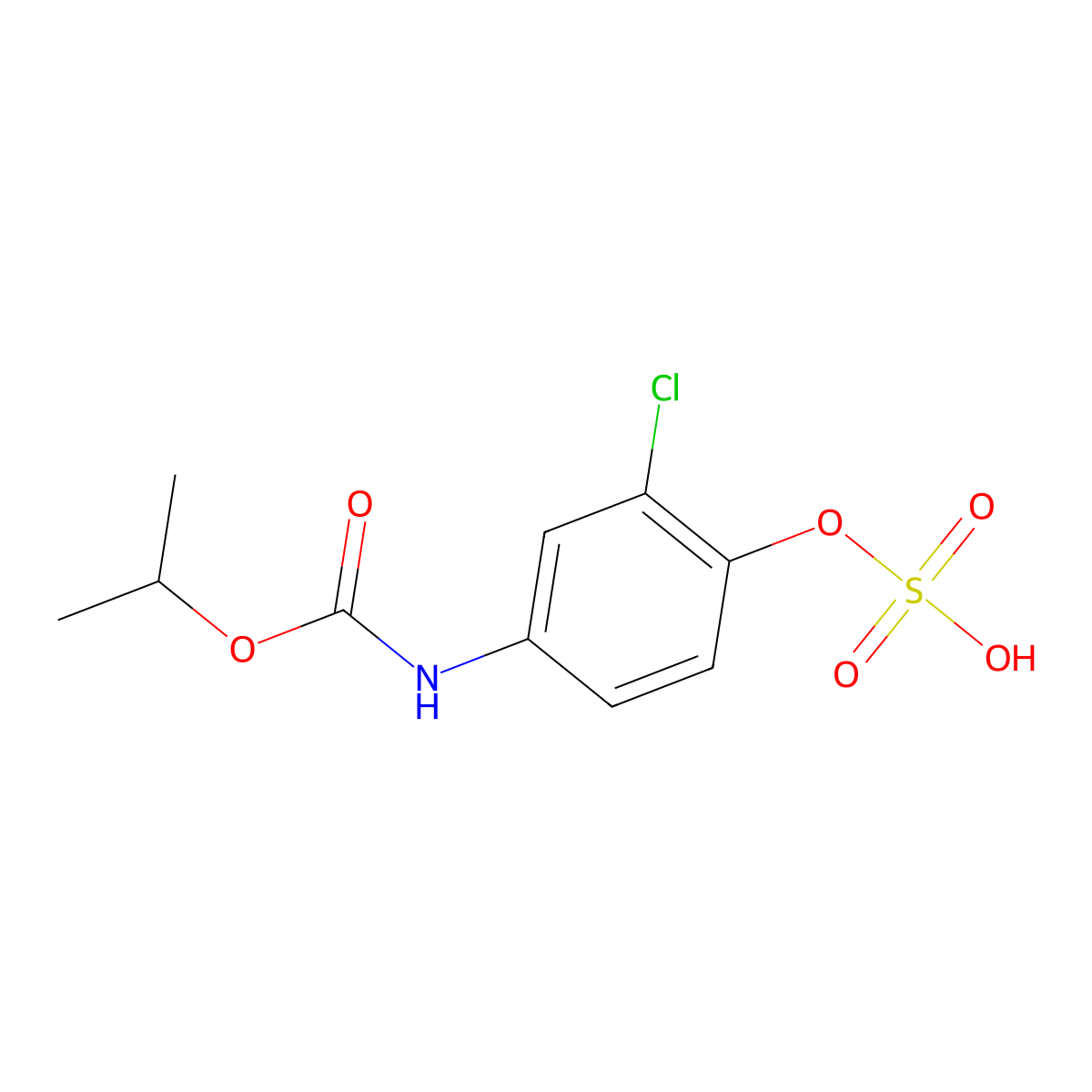 4-HydroxychlorprophaM Sulfate molecular structure, CAS 28705-88-6