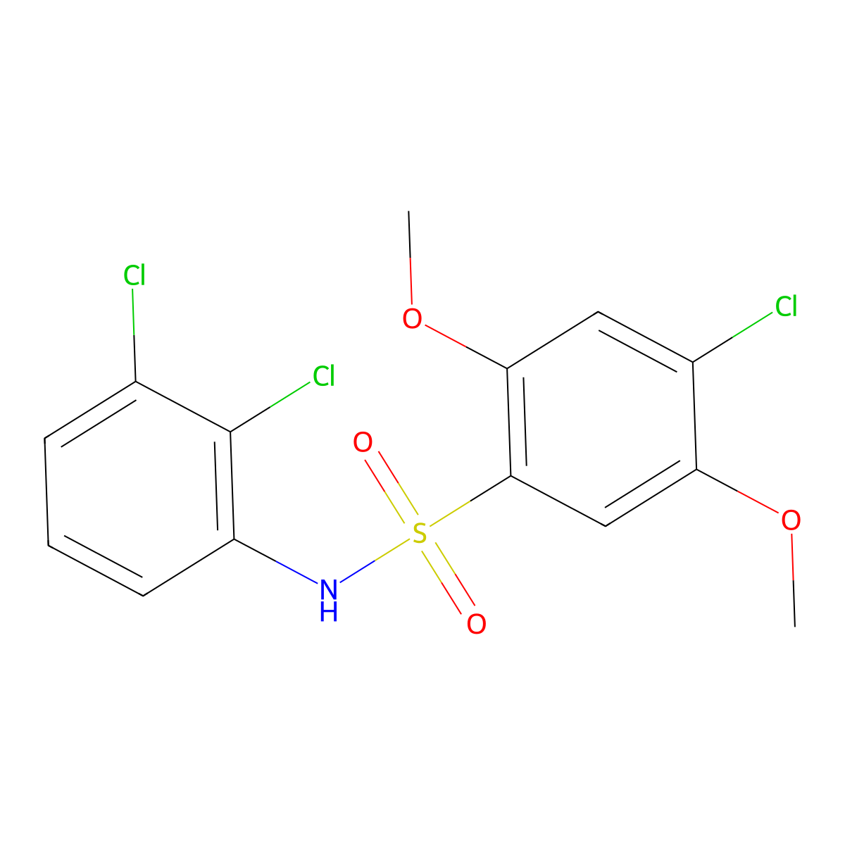 4-chloro-N-(2,3-dichlorophenyl)-2,5-dimethoxybenzene-1-sulfonamide molecular structure, CAS 2871393-01-8