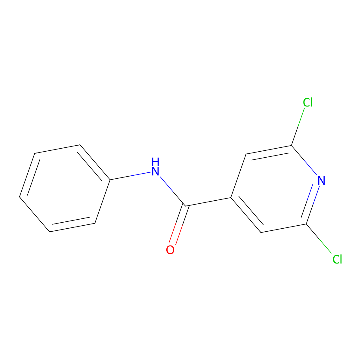 2,6-Dichloro-N-phenylisonicotinamide molecular structure, CAS 287174-84-9