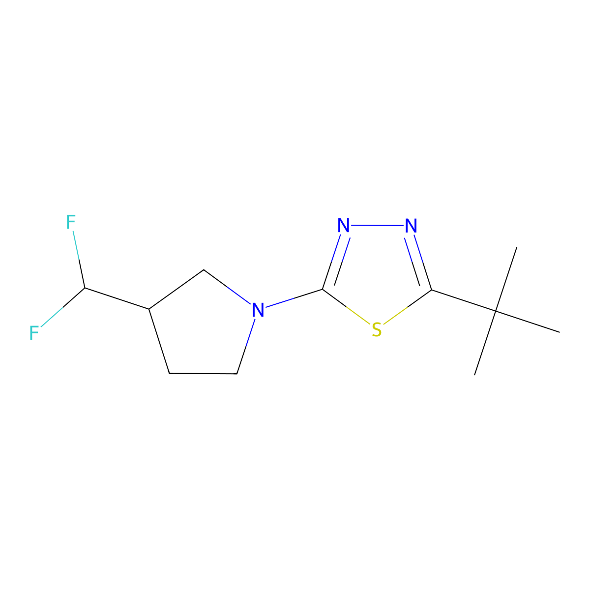 2-Tert-butyl-5-[3-(difluoromethyl)pyrrolidin-1-yl]-1,3,4-thiadiazole molecular structure, CAS 2877629-39-3