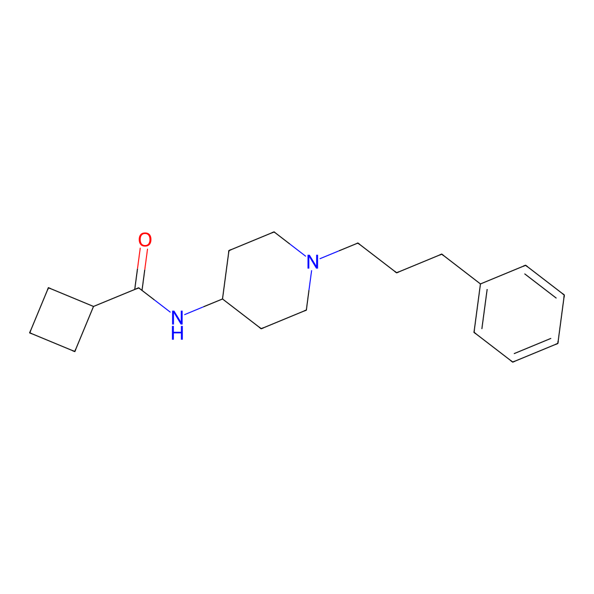 N-[1-(3-phenylpropyl)piperidin-4-yl]cyclobutanecarboxamide molecular structure, CAS 2877635-16-8