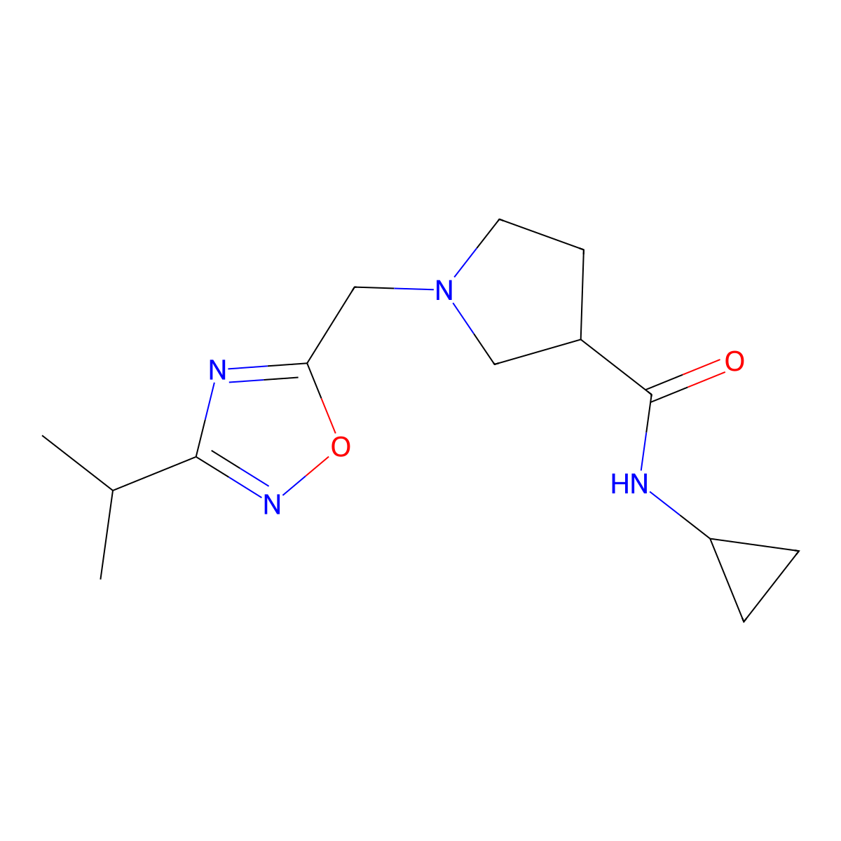 N-cyclopropyl-1-{[3-(propan-2-yl)-1,2,4-oxadiazol-5-yl]methyl}pyrrolidine-3-carboxamide molecular structure, CAS 2877642-43-6