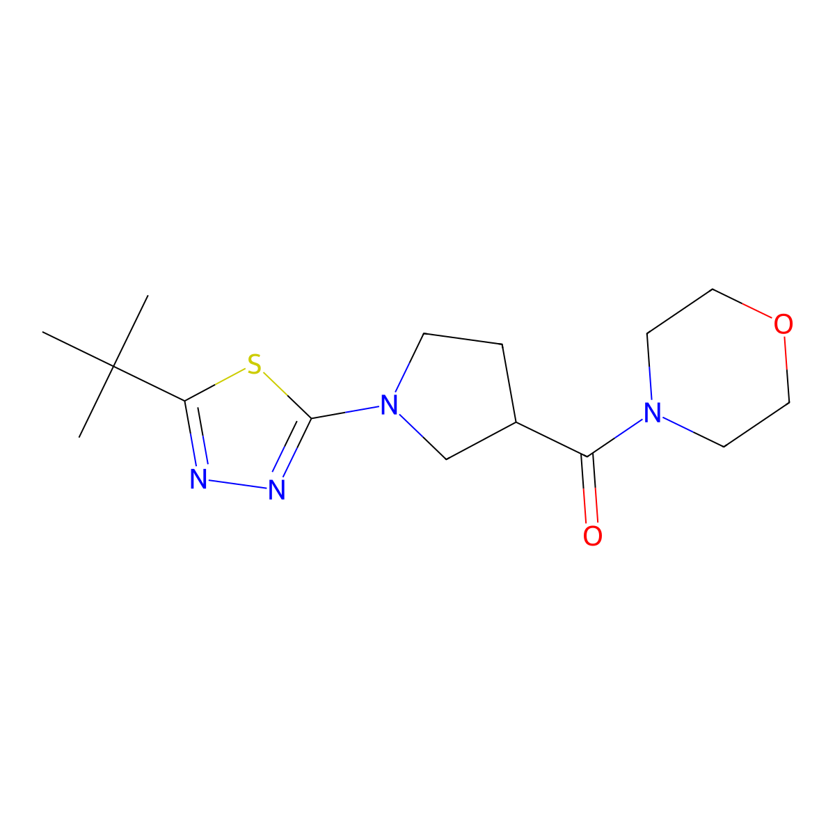 4-[1-(5-Tert-butyl-1,3,4-thiadiazol-2-yl)pyrrolidine-3-carbonyl]morpholine molecular structure, CAS 2877643-96-2