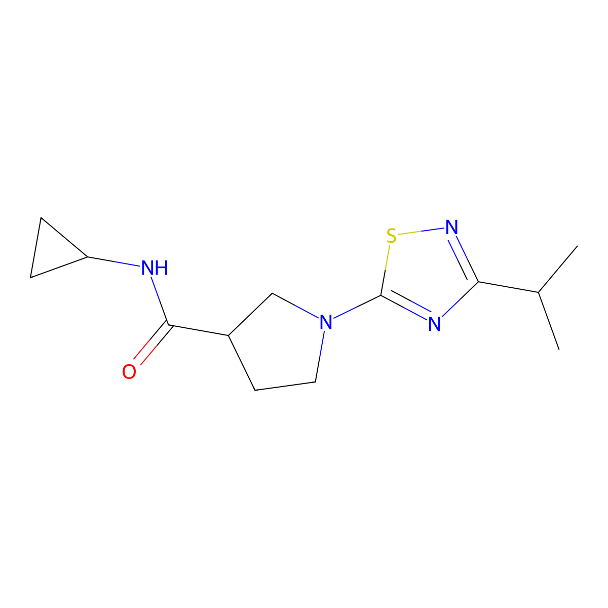 N-cyclopropyl-1-[3-(propan-2-yl)-1,2,4-thiadiazol-5-yl]pyrrolidine-3-carboxamide molecular structure, CAS 2877647-02-2