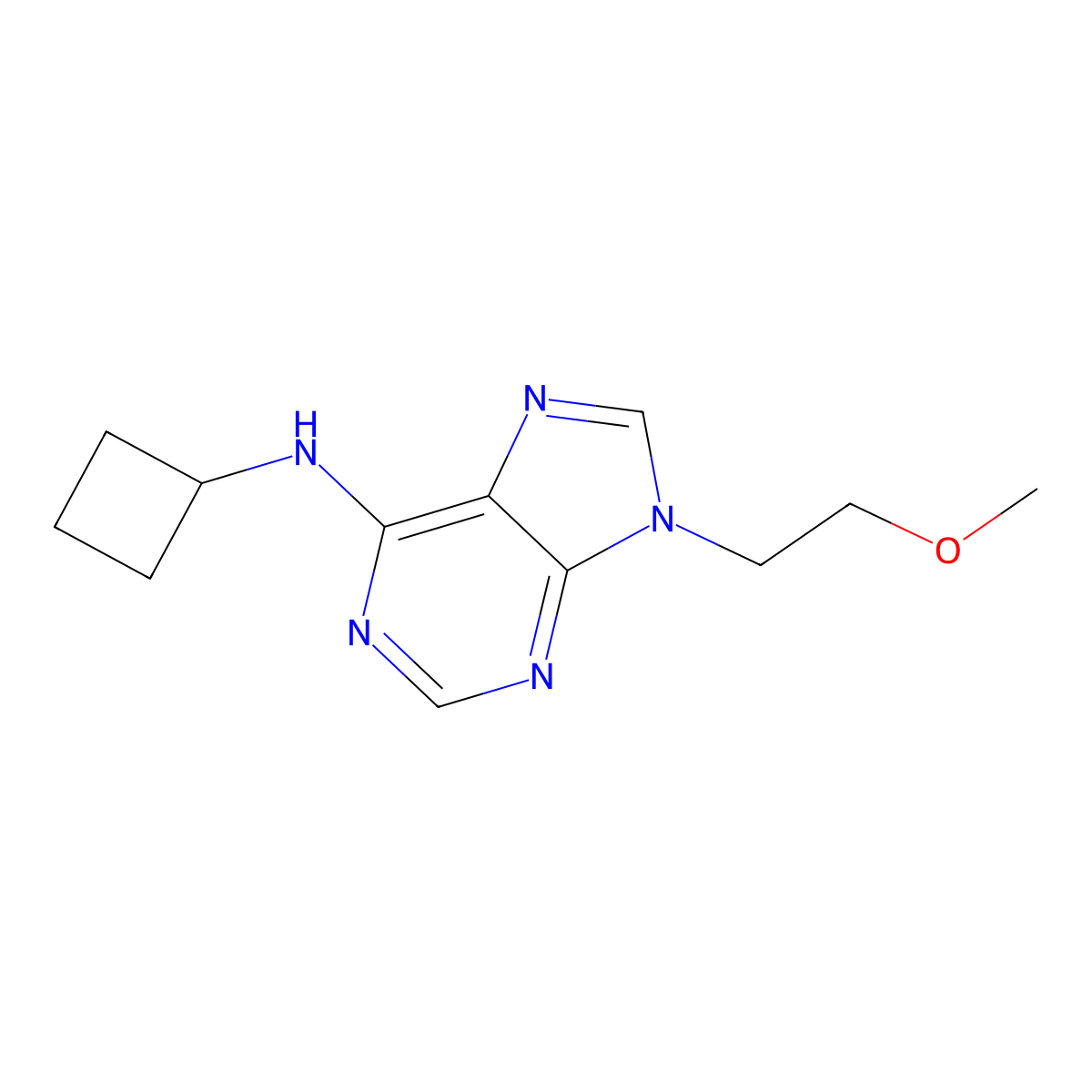N-cyclobutyl-9-(2-methoxyethyl)-9H-purin-6-amine molecular structure, CAS 2877651-49-3