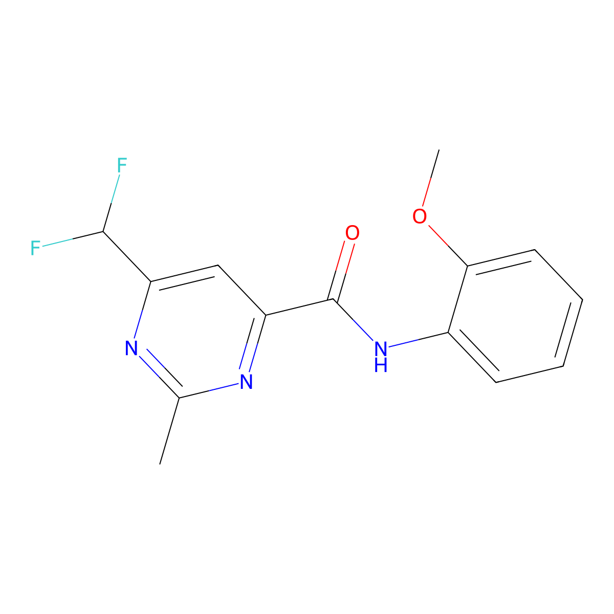 6-(difluoromethyl)-N-(2-methoxyphenyl)-2-methylpyrimidine-4-carboxamide molecular structure, CAS 2877654-28-7